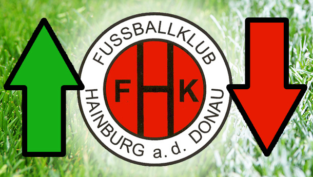 transfers.jpg-FK HAINBURG TEGMEN-BAU